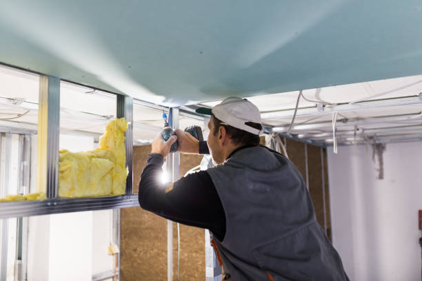 Best Insulation Removal  in Rothschild, WI