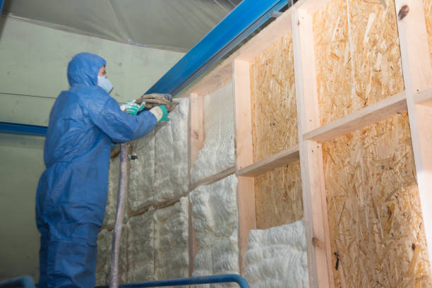 Best Insulation Contractor Near Me  in Rothschild, WI